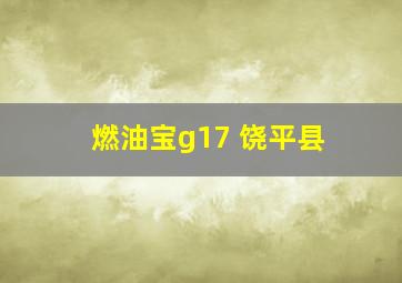 燃油宝g17 饶平县